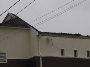 IMG_6841C