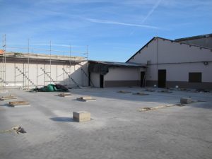 IMG_6890C