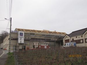 IMG_7185C